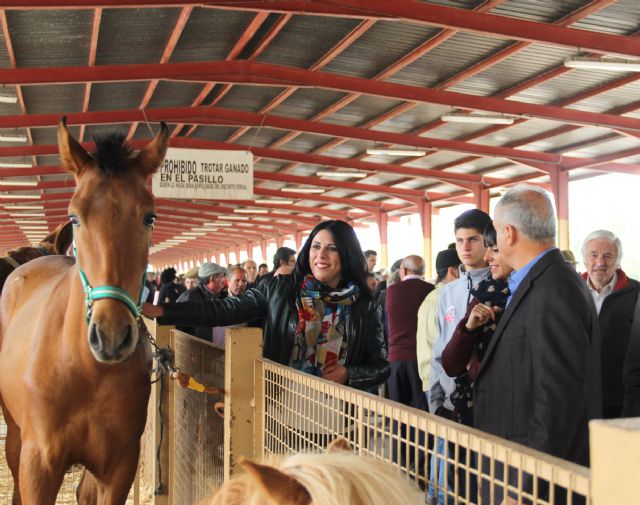 La Feria de Ganado Equino de Puerto Lumbreras abre sus puertas con eliminación de tasas para los ganaderos - 2, Foto 2