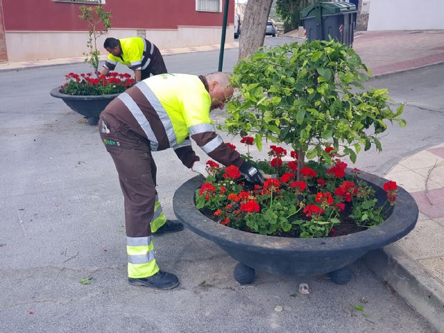 Más de 300 flores de temporada llenarán las jardineras de la pedanía de Cañadas de San Pedro - 1, Foto 1