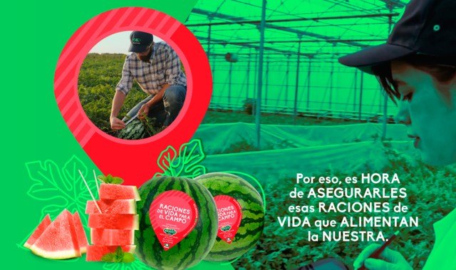 Anecoop y sus sandías bouquet dan “raciones de vida para el campo” - 1, Foto 1