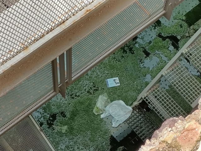 Huermur denuncia la pertinaz inundación y la falta de horario de apertura de la muralla de Verónicas - 4, Foto 4