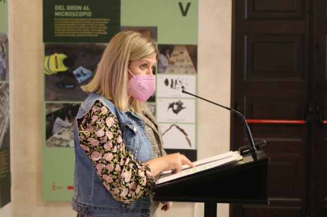 La renovación de aceras en varias calles y avenidas de El Palmar mejorará la seguridad y accesibilidad de los peatones - 1, Foto 1