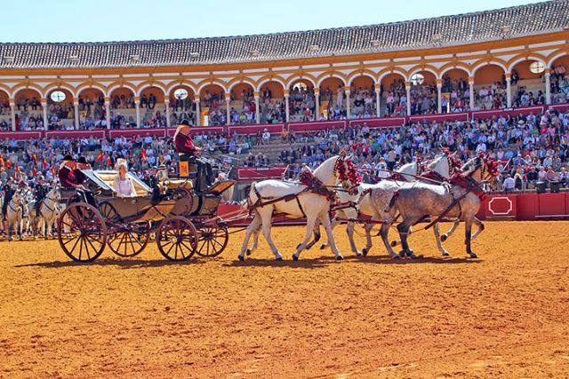 Un total de 92 carruajes han lucido en la 39 Exhibición, de Enganches de Sevilla que congregó en la plaza de toros a unas 11.000 personas - 2, Foto 2