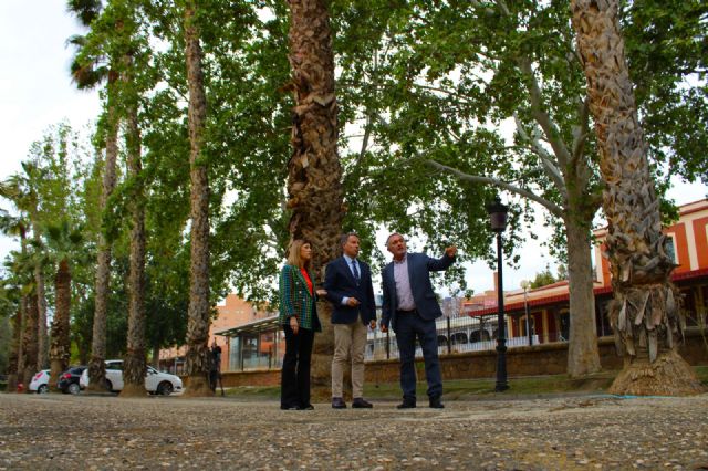 El Ayuntamiento vuelve a pedir a Adif que salve más de 300 árboles afectados por las obras del soterramiento en Lorca - 2, Foto 2