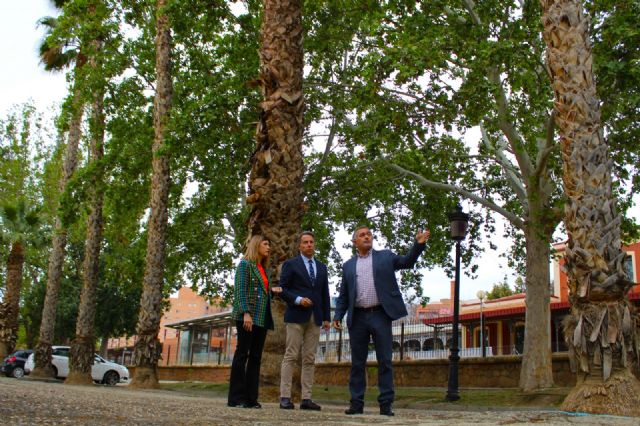 El Ayuntamiento vuelve a pedir a Adif que salve más de 300 árboles afectados por las obras del soterramiento en Lorca - 4, Foto 4