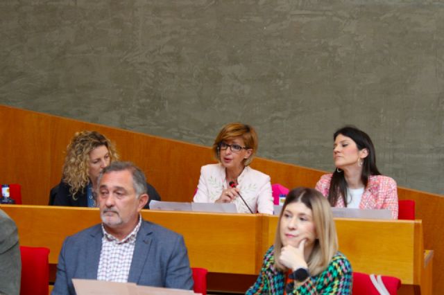 El Pleno da cuenta de la liquidación del presupuesto de 2023 con un remanente de Tesorería de 12,4 millones de euros - 3, Foto 3