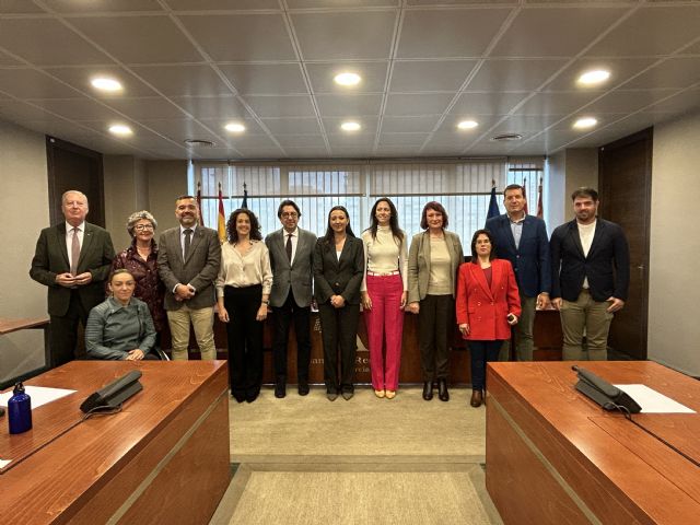 Carmen comparece ante la Comisión Especial de Estudio sobre Infancia y Adolescencia - 2, Foto 2