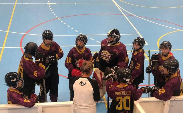 El Roller Queen torreño, subcampeón de la liga autonómica infantil de hockey línea - 4, Foto 4