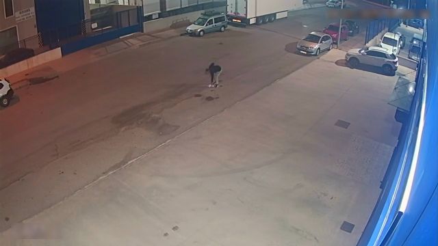 La Guardia Civil esclarece tres incendios intencionados en Torre Pacheco - 5, Foto 5