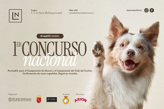 Dinosaurios, perros y flores en La Noria Outlet Shopping - 4, Foto 4
