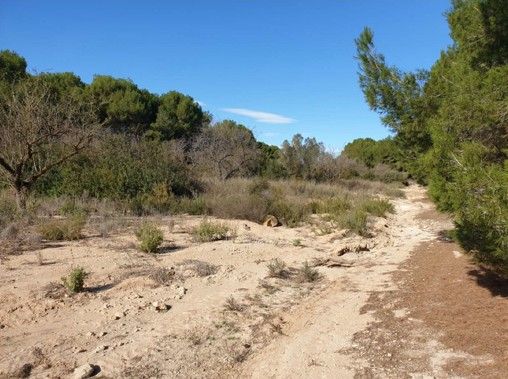 La CHS somete a información pública el proyecto de zonas de almacenamiento controlado en ramblas vertientes a San Pedro del Pinatar y Pilar de la Horadada - 2, Foto 2