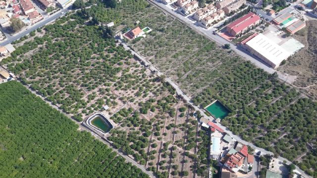 El helicóptero detecta 80 focos de mosquitos tigre en el municipio - 1, Foto 1