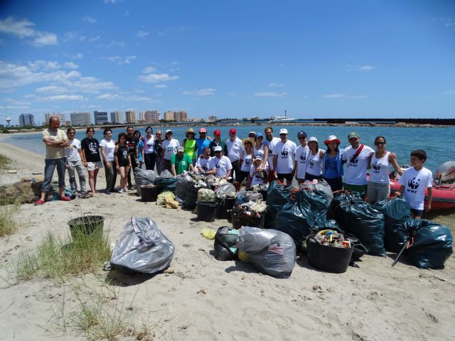 30 voluntarios de ANSE y WWF retiran casi una tonelada de residuos de la Caleta del Estacio (La Manga) - 2, Foto 2