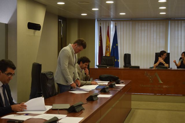 El PP une en la Asamblea a todos los grupos en la lucha contra la violencia en el deporte - 1, Foto 1