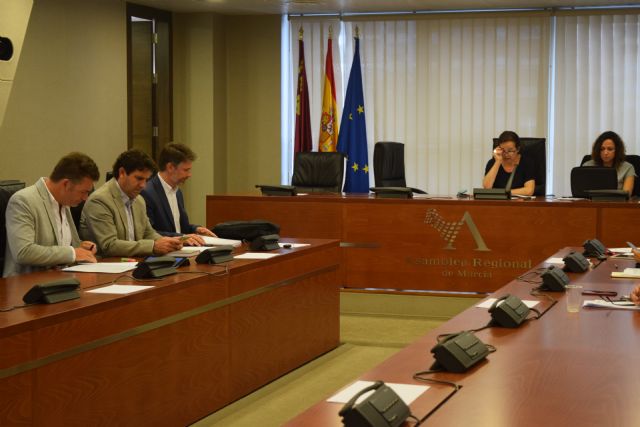 El PP une en la Asamblea a todos los grupos en la lucha contra la violencia en el deporte - 2, Foto 2