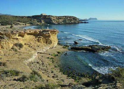 El Ayuntamiento dotará por primera vez a sus playas de  una ordenanza municipal que mejorará la convivencia de sus usuarios - 1, Foto 1