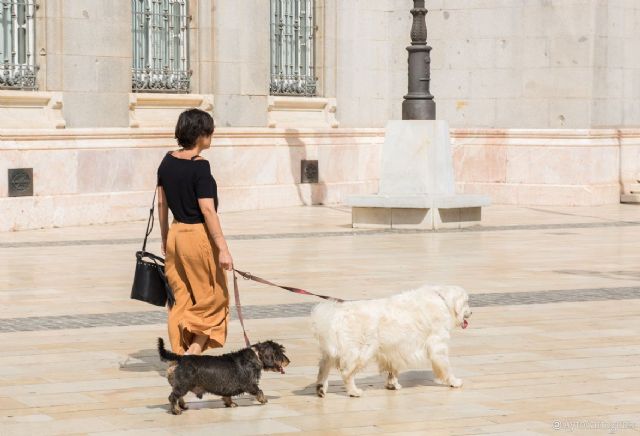 La Policía Local vela por la tenencia responsable de animales con una campaña especial de vigilancia - 1, Foto 1