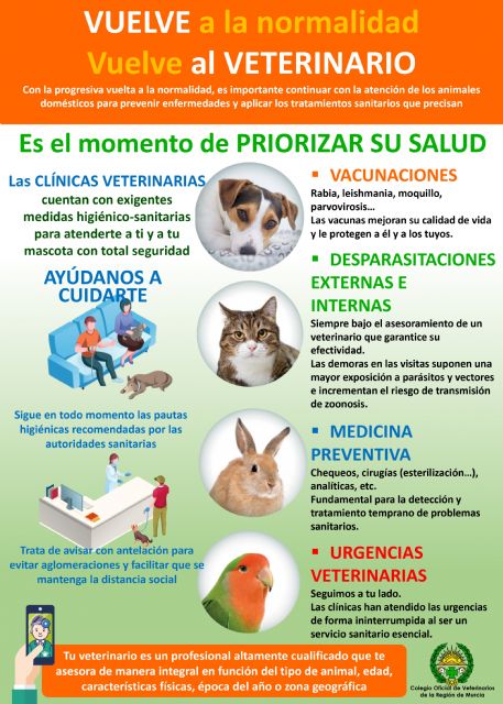 Los Veterinarios de Murcia lanzan una campaña denominada “Vuelve a la normalidad, Vuelve al Veterinario” - 1, Foto 1