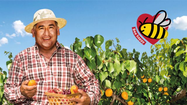 SanLucar se vuelca en el cuidado de las abejas - 1, Foto 1