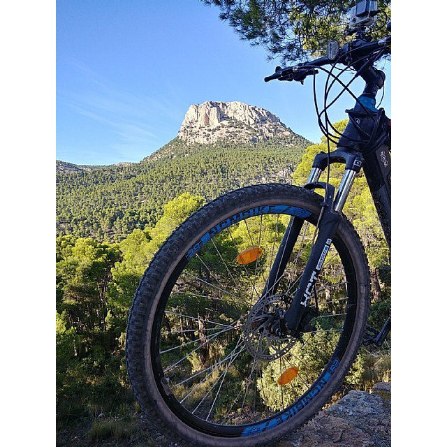 Las bicicletas escalan posiciones durante la cuarentena - 2, Foto 2