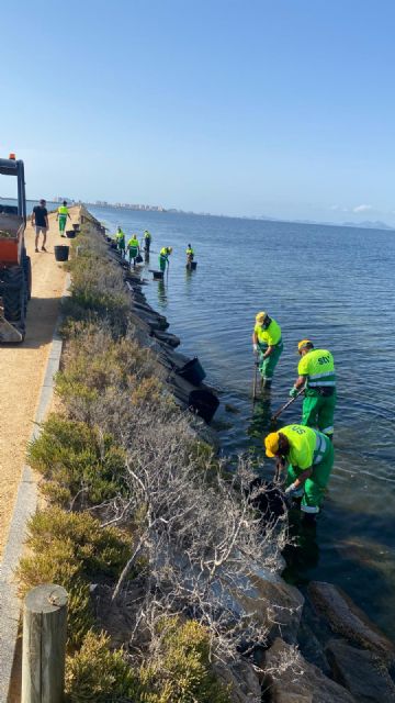 Ayuntamiento y Comunidad refuerzan la retirada de algas y la limpieza en las playas del municipio - 1, Foto 1
