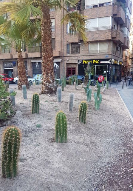 Parques y Jardines cultiva las más de 60 variedades de cactus repartidas por el municipio - 1, Foto 1