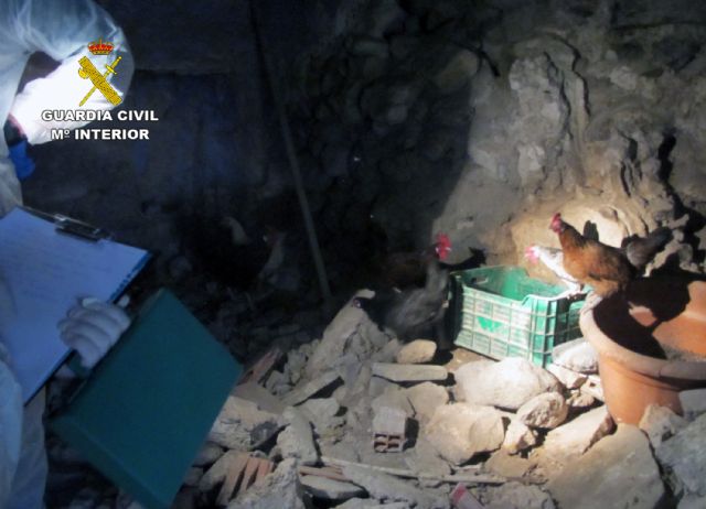 La Guardia Civil investiga a un vecino de Moratalla por abandono animal y tenencia ilícita de especies protegidas - 1, Foto 1