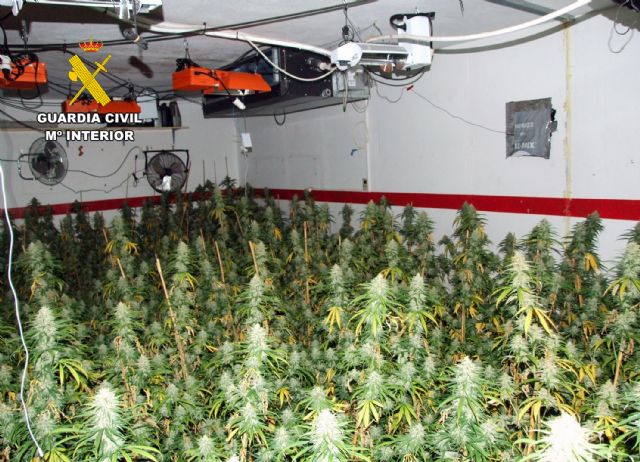 La Guardia Civil detiene a una pareja en Cartagena que tenía un invernadero de marihuana en su domicilio - 1, Foto 1