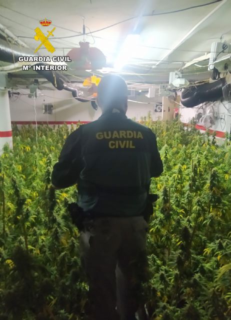 La Guardia Civil detiene a una pareja en Cartagena que tenía un invernadero de marihuana en su domicilio - 3, Foto 3
