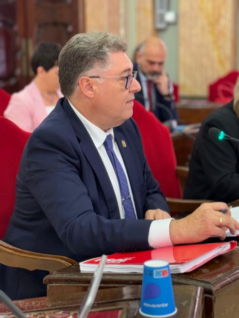 El PSOE defiende un urbanismo responsable frente a un modelo insostenible y contrario al interés general - 1, Foto 1