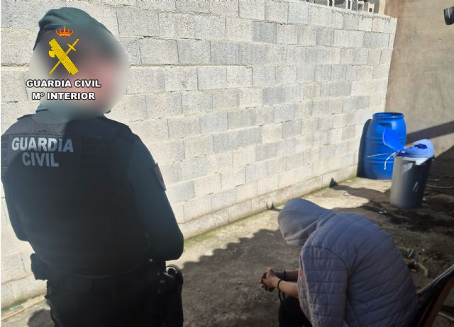 La Guardia Civil desmantela un grupo delictivo que cultivaba gran cantidad de marihuana en Ricote - 2, Foto 2