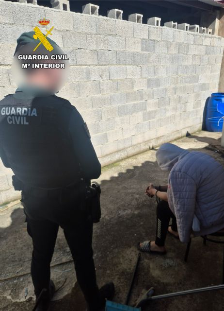 La Guardia Civil desmantela un grupo delictivo que cultivaba gran cantidad de marihuana en Ricote - 3, Foto 3