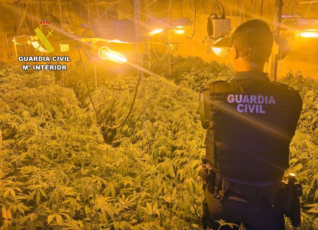 La Guardia Civil desmantela un grupo delictivo que cultivaba gran cantidad de marihuana en Ricote - 4, Foto 4