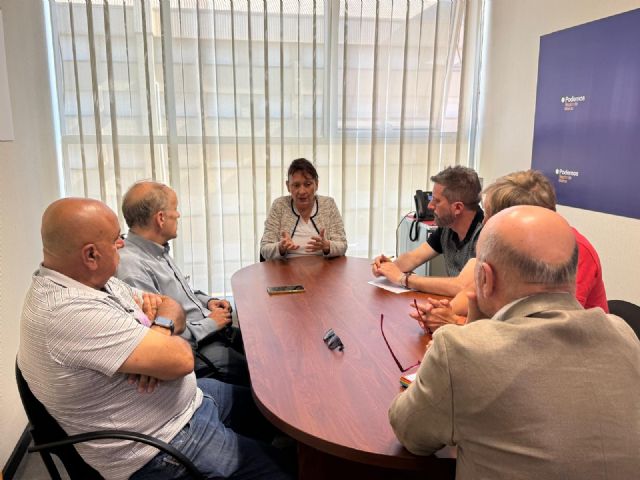 Podemos y ACMEIS denuncian que el Gobierno regional podr�a tener que devolver hasta 39 millones de ayudas al autoconsumo en junio, Foto 2