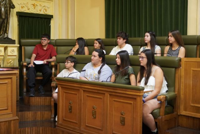 Juventud celebra una nueva sesión del Pleno Juvenil con la participación del alumnado de secundaria - 4, Foto 4