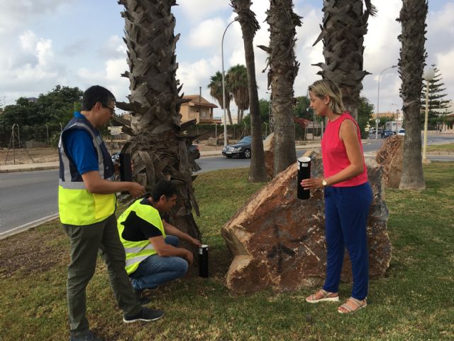 A la caza del mosquito tigre - 2, Foto 2