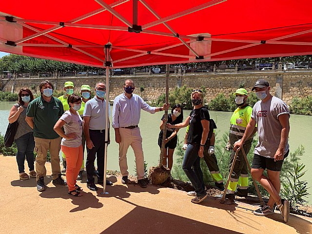 Decenas de voluntarios plantan más de 300 árboles y especies vegetales de ribera con motivo del Día mundial del árbol - 1, Foto 1