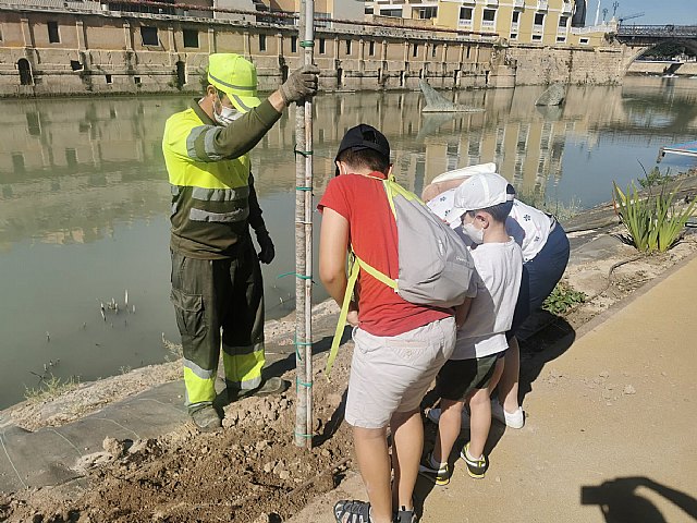 Decenas de voluntarios plantan más de 300 árboles y especies vegetales de ribera con motivo del Día mundial del árbol - 2, Foto 2