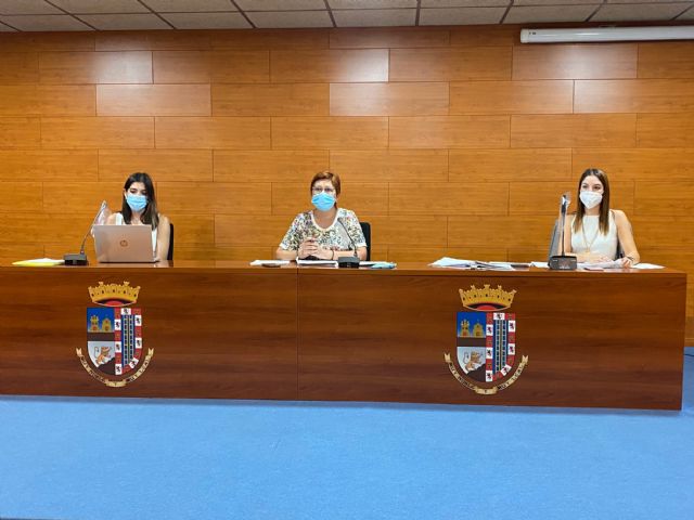 El pleno ordinario de junio aprueba tres mociones, una de ellas enmendada - 1, Foto 1