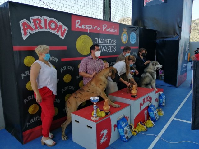 Exposición canina nacional de Ricote 2021 - 1, Foto 1