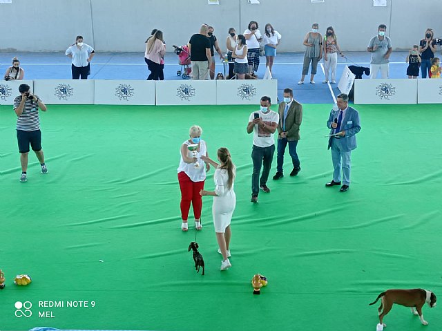 Exposición canina nacional de Ricote 2021 - 2, Foto 2