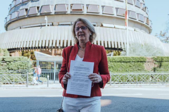 Lourdes Méndez presenta una demanda ante el TEDH contra el TC por retrasar injustificadamente la ley del aborto de 2010 - 1, Foto 1
