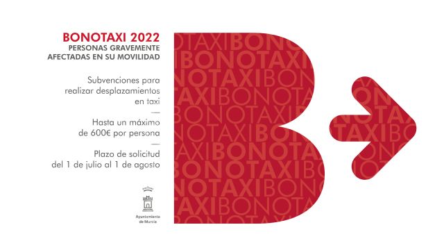 Las personas con movilidad reducida podrán solicitar las ayudas de ´bonotaxi´ desde 1 de julio hasta el 1 de agosto - 1, Foto 1