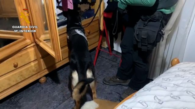 La Guardia Civil desmantela una organización criminal dedicada al tráfico ilícito de vehículos a nivel europeo - 4, Foto 4