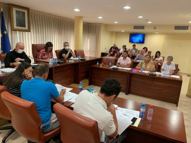 La edil Nuria Almagro renuncia a su acta de concejal en el transcurso de la sesión plenaria - 1, Foto 1