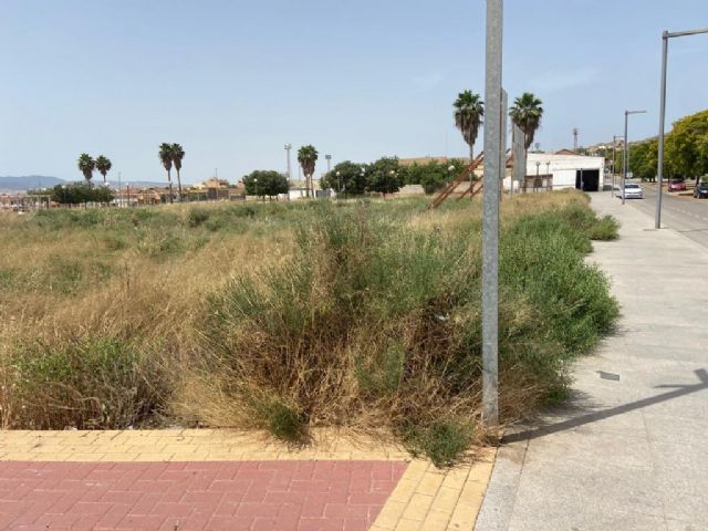 El abandono de las tareas de mantenimiento por parte del gobierno local provoca la degradación de numerosos espacios urbanos de Totana, Foto 7