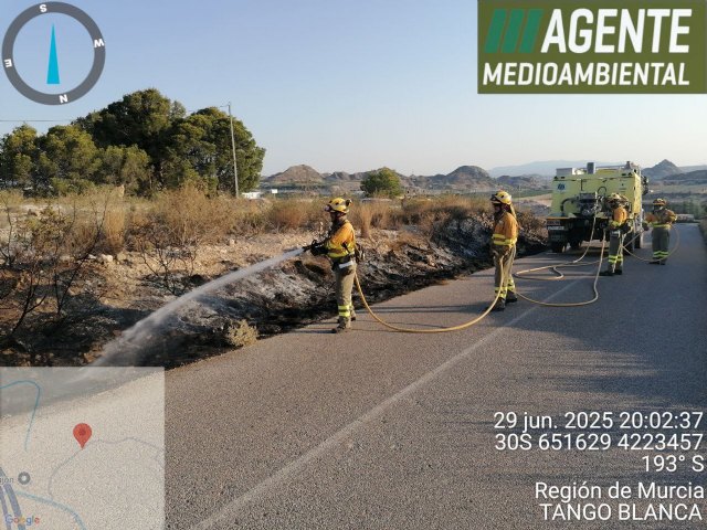 Apagan conato de incendio forestal en Ulea - 1, Foto 1