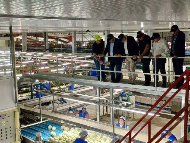 Crece un 3,5 por ciento el valor de las exportaciones de melón en 2025 - 2, Foto 2