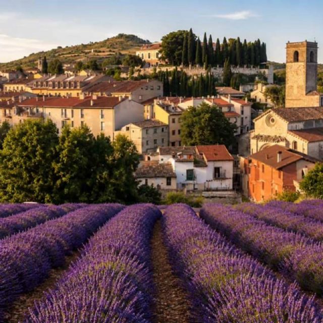 Brihuega, Moratalla y Tiedra dan la bienvenida a la floración de la lavanda con una completa agenda de experiencias turísticas, culturales y sensoriales - 2, Foto 2