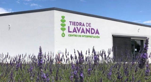 Brihuega, Moratalla y Tiedra dan la bienvenida a la floración de la lavanda con una completa agenda de experiencias turísticas, culturales y sensoriales - 3, Foto 3