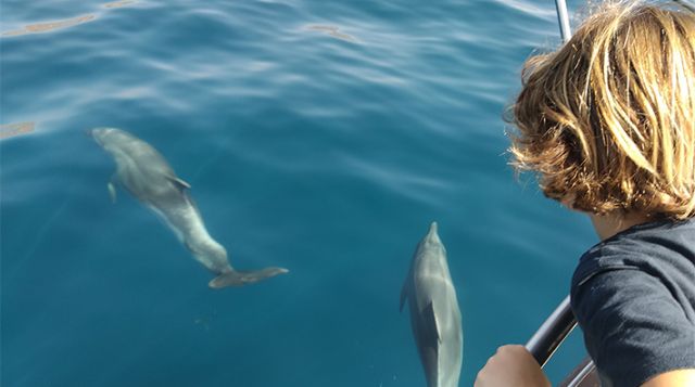 Mar�a y la ciudad de los delfines